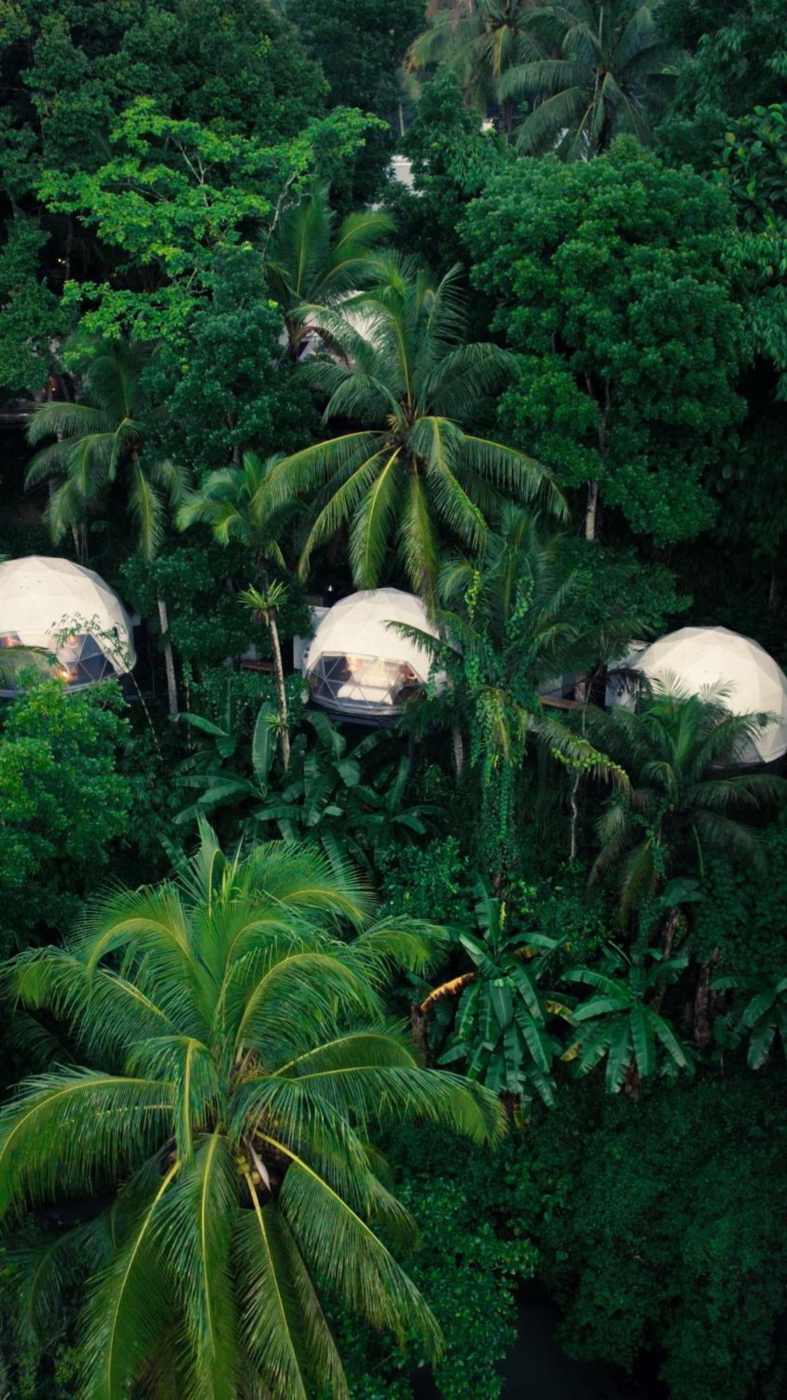 Lintang Luku Tent Resort Ijen, Banyuwangi Banyuwangi  Exterior photo